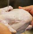 Lavar frango antes de cozinhar aumenta risco de espalhar bactéria Campylobacter  Foto: Getty Images / BBC News Brasil