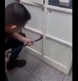  Foto: Guarda Municipal de Holambra 