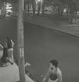 Cachorro pula de carro em movimento e ataca mulher em SP; veja  Foto: Reprodução