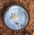 Imagem: Reprodução/Internet  Foto: Imagem mostra um prato com osso de galinha e um pouco de arroz. / Alma Preta
