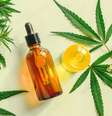 Cannabis medicinal x esclerose múltipla: especialistas explicam tratamento  Foto: Shutterstock / Saúde em Dia