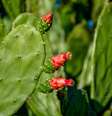 Foto: zoroasto / iStock