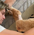 Fernanda Gentil lamenta a morte da cachorra: "Te amo para sempre"  Foto: @gentilfernanda / Reprodução/Instagram