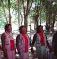 Caravana das Originárias da Terra no Norte do Brasil, bioma Amazônia, na TI Mãe Maria, na aldeia Kyikateje do povo Gavião  Foto: Edvan Guajajara