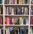Veja como limpar e organizar seus livros corretamente  Foto: Shutterstock / Alto Astral