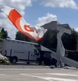 Piloto sai ileso após pousar avião com ajuda de paraquedas  Foto: Reprodução / Los Caneleros PuntoCom/Facebook