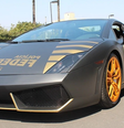 Lamborghini do 'Rei do Bitcoin' irá a leilão por R$ 629 mil  Foto: Divulgação/Polícia Federal