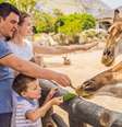 Uma ida ao zoológico é perfeita para as crianças que amam os animais  Foto: Shutterstock / Alto Astral