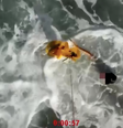 Drone salva jovem de 14 anos de afogamento em praia na Espanha  Foto: Reuters