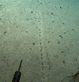  Foto: NOAA / Canaltech