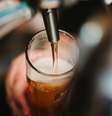 Cerveja brasileira já conta com softwares de gestão e melhoramento genético  Foto: Bence Boros / Unsplash