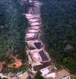  Foto: Divulgação/Marizilda Cruppe/Amazon Watch/Amazônia Real / Canaltech