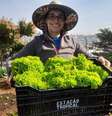 Entre os projetos mais conhecidos da ONG Cidades sem Fome estão as hortas urbanas   Foto: Cidades sem Fome / Divulgação