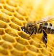  Foto: Valengilda / iStock