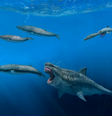 Supertubarão Otodus megalodon podia passar até dois meses sem comer depois de se alimentar de uma baleia  Foto: J.J.Giraldo / Eurekalert