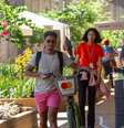 A lei sancionada pela então presidente Dilma Rousseff, previa que a norma deveria passar por uma revisão após uma década  Foto: Reprodução/UnB