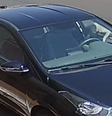 Cachorro 'invade' carro e 'furta' marmita de idoso no interior de SP  Foto: Reprodução / Gazeta do Interior/Facebook
