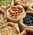 Os feijões são os alimentos mais ricos em proteínas no reino vegetal  Foto: CanvaPro