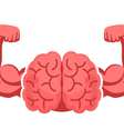 Fortalecer os músculos contribui para a saúde do cérebro  Foto: Shutterstock / Sport Life