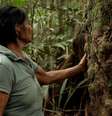 Durante mais de 30 anos, a indústria da borracha escravizou povos indígenas da Amazônia até serem quase dizimados  Foto: BBC Mundo / BBC News Brasil