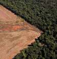 Vista aérea mostra cena de devastação  Foto: Reuters