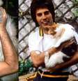 Gatos freddie mercury  Foto: Alto Astral