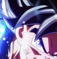 Dragon-Ball-Super-Son-Goku-Ultra-Instinct-Goku-Kamehameha-Dragon-Ball-saiyan-1215531-wallhere.com.jpg  Foto: Reprodução/Toei Animation