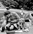 Autores especializados na realeza alegam que ela teve mais de 30 corgis durante o seu reinado e muitos deles era descendentes de Susan  Foto: Reprodução/Twitter
