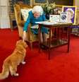 A rainha, fotografada em janeiro de 2022, com Candy, um cruzamento de dachshund com corgi  Foto: AFP via Getty Images / BBC News Brasil