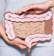 Dietas direcionadas ao microbioma intestinal podem melhorar distúrbios cerebrais (Imagem: LightFieldStudios/envato)  Foto: Canaltech