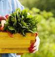 Alimentos da primavera  Foto: Shutterstock / Sport Life