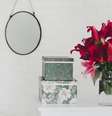 energizar sua casa com plantas na Primavera  Foto: Pexels / Personare