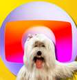Priscila estrelou comercial da marca pet que agora tem a Globo como acionista  Foto: Reproduções