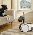Astro, o robô da Amazon, agora interage com cães e gatos   Foto: Divulgação / Amazon / Tecnoblog