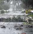 Vista de uma rua com galhos caídos na cidade de São Petersburgo, na Flórida  Foto: Getty Images / BBC News Brasil