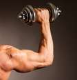 Por que é tão importante ganhar massa muscular? Médica responde  Foto: Shutterstock / Sport Life