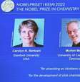 Prêmio Nobel de Química vai para pioneiros da "química de cliques"  Foto: Reprodução: Redes Sociais
