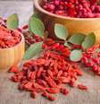 Goji berry é rico em proteínas e minerais  Foto: Shutterstock / Portal EdiCase