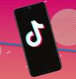  Foto: Divulgação/TikTok / Canaltech