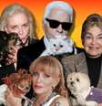 Lauren, Gail, Karl e Leona: dinheiro de sobra para garantir o conforto do pet amado  Foto: Reproduções