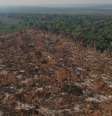 Área de desmatamento e queimada no município de Apuí, Amazonas (Imagem: Bruno Kelly/Amazônia Real/Wikimedia Commons)  Foto: Canaltech