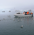 Incapaz de atravessar o gelo marinho com trenós, Kaleeraq Mathaeussen agora só pesca de barco  Foto: BBC News Brasil