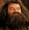 Robbie Coltrane, o Hagrid de 'Harry Potter', morre aos 72 anos  Foto: Divulgação/Warner Bros Pictures