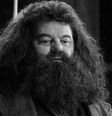 Hagrid robbie coltrane  Foto: Divulgação/Warner Bro. / Famosos e Celebridades