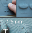  Foto: Koone et al./Science Advances / Canaltech