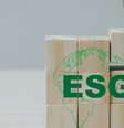 ESG  Foto: Canva / Startups