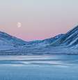 Pesquisadores examinaram paisagem ártica do Lago Hazen para analisar como derretimento do gelo pode afetar risco de espalhar vírus  Foto: Daiwei Lu / Unsplash