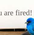 Twitter fired  Foto: Canva / Startups