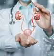 Mulheres também devem se consultar com urologista  Foto: Shutterstock / Portal EdiCase