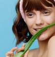 Babosa aloe vera  Foto: Shutterstock / Alto Astral